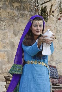养鸽人 The Dovekeepers.2015 字幕下载
