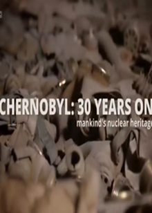 核灾三十年 Chernobyl 30 Years On.2015 字幕下载