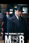 芝加哥黑帮纪实 The Making of the Mob: Chicago.2016 字幕下载