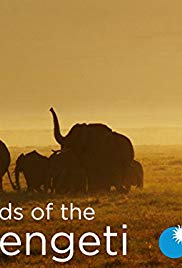 塞伦盖蒂游牧民族 Nomads of the Serengeti.2015 字幕下载