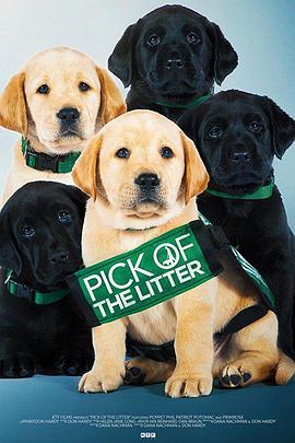 崽之抉择 Pick of the Litter.2018 字幕下载