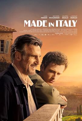 意大利制造 Made in Italy.2020 字幕下载