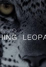 捕鱼的非洲豹 Africa's Fishing Leopards.2015 字幕下载