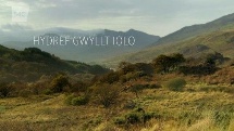 Hydref Gwyllt Iolo  .2021 字幕下载