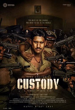Custody .2023 字幕下载