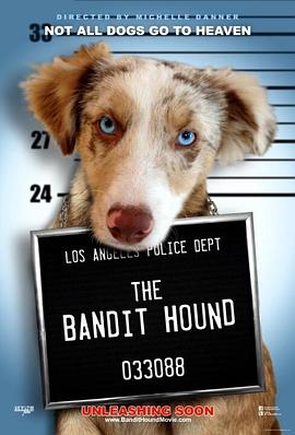 猎犬强盗 The Bandit Hound.2016 字幕下载