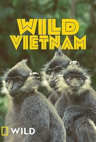 野生越南 Wild Vietnam.2024 字幕下载