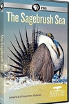 PBS自然S33E17：灌木蒿海洋 PBS Nature - The Sagebrush Sea (2015).2015 字幕下载