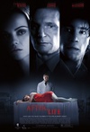 生命之旅 After.Life.2009 字幕下载