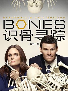 识骨寻踪 第十一季 Bones.2015 字幕下载