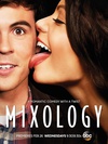 一夜寻情记 Mixology.2014 字幕下载
