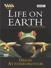 生命的进化 Life on Earth.1979 字幕下载