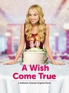 A Wish Come True A Wish Come True.2015 字幕下载