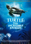 海龟奇妙之旅 Turtle: The Incredible Journey.2009 字幕下载
