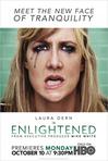 醍醐灌顶 第一季 Enlightened.2011 字幕下载