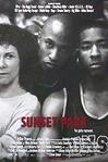 夕阳公园 Sunset Park.1996 字幕下载
