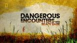 国家地理.动物零距离.蝾螈之王 Dangerous Encounters - Slimy Monsters.0 字幕下载