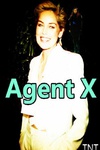 X探员 第一季 Agent X.2015 字幕下载