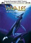 鲸奇之旅 Whales: An Unforgettable Journey.1997 字幕下载