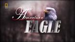 国家地理：美国国鸟.白头海雕传奇 National.Geographic.American.Eagle.2010 字幕下载
