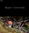 蘑菇家族的魔法 The Magic of Mushrooms.2014 字幕下载