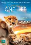 地球生灵 One Life.2011 字幕下载