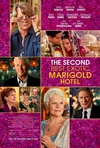 涉外大饭店2 The Second Best Exotic Marigold Hotel.2015 字幕下载