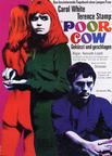 可怜的母牛 Poor Cow.1967 字幕下载