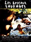 野芦苇 Les roseaux sauvages.1994 字幕下载