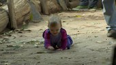 是什么让人类如此不同 What Makes Us Human.2013 字幕下载