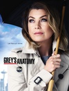 实习医生格蕾 第十二季 Grey's Anatomy.2015 字幕下载