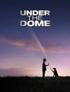 穹顶之下 第三季 Under the Dome.2015 字幕下载
