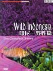 野性印尼 Wild Indonesia.1999 字幕下载
