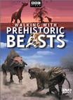 与古兽同行 Walking With Beasts.2001 字幕下载