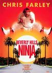 比佛利武士 Beverly Hills Ninja.1997 字幕下载