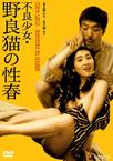 不良少女 野良猫の性春 不良少女 野良猫の性春.1973 字幕下载