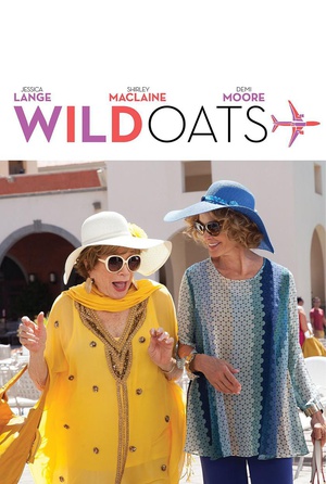 放荡生活 Wild Oats.2016 字幕下载