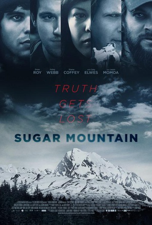 荒野逃生 Sugar Mountain.2016 字幕下载