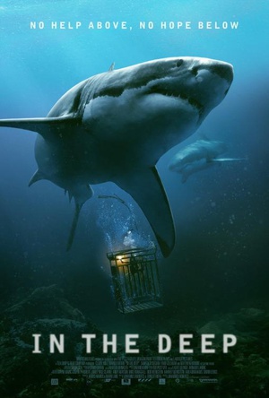 深海逃生 47 Meters Down.2016 字幕下载