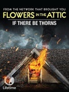 如果有荆棘 if there be thorns.2015 字幕下载