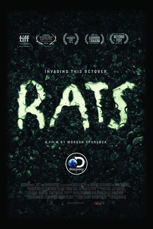 Rats Rats.2016 字幕下载