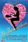 我的神秘之花 La flor de mi secreto.1995 字幕下载