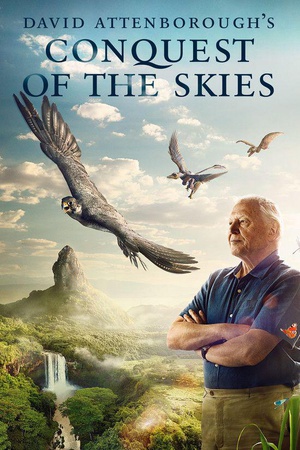 征服天穹 Conquest of the Skies 3D.2014 字幕下载