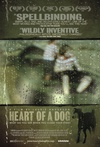 狗心 Heart of a Dog.2015 字幕下载
