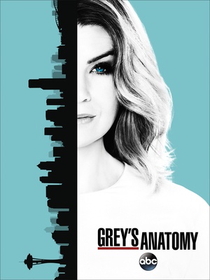 实习医生格蕾 第十三季 Grey's Anatomy.2016 字幕下载