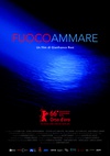 海上火焰 Fuocoammare.2016 字幕下载