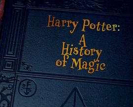 哈利·波特：一段魔法史 Harry Potter: A History of Magic.2017 字幕下载