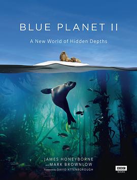 蓝色星球2 Blue Planet II.2017 字幕下载