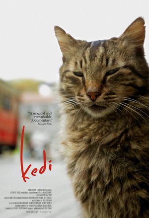 伊斯坦布尔的猫 Kedi.2016 字幕下载