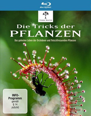 植物的秘密武器 Die Tricks der Pflanzen.2014 字幕下载